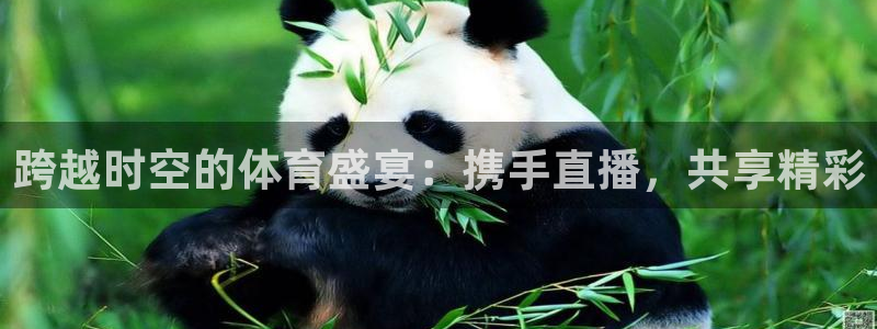 跨越时空的体育盛宴：携手直播，共享精彩
