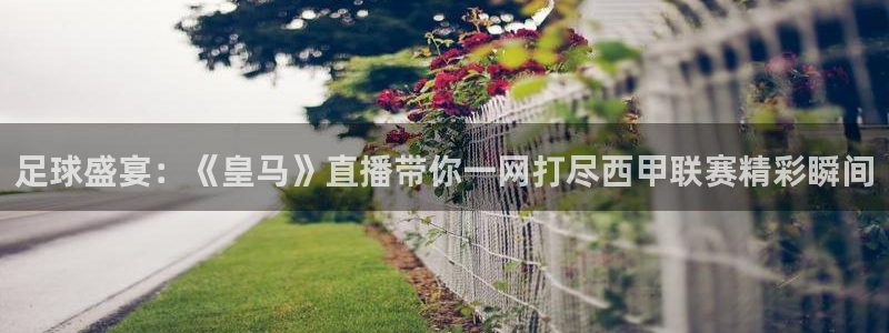 足球盛宴：《皇马》直播带你一网打尽西甲联赛精彩瞬间