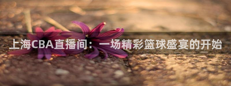 上海CBA直播间：一场精彩篮球盛宴的开始