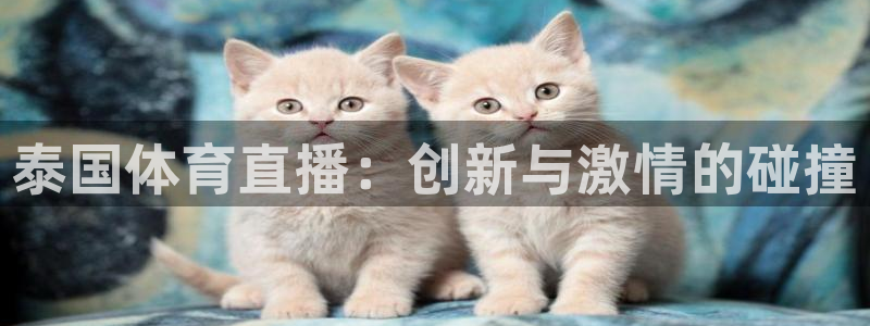 泰国体育直播：创新与激情的碰撞